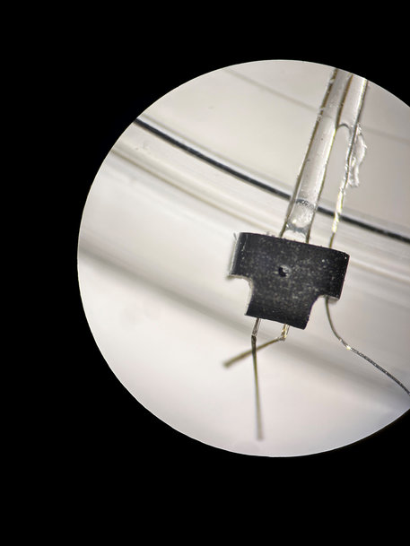 NANO DIMENSION’S MICRO-3D PRINTING TECHNOLOGY PROVES PIVOTAL IN BREAKTHROUGH PROJECT TO ADVANCE BIOMEDICAL RESEARCH